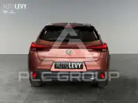 2024 Lexus UX