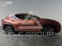 2024 Lexus UX