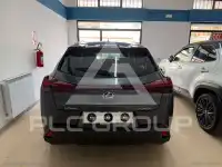 2024 Lexus UX