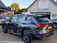 2024 Lexus NX250