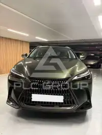 2024 Lexus NX250