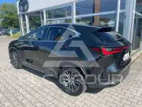 2024 Lexus NX250