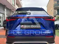 2024 Lexus NX250