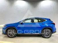 2024 Lexus NX250