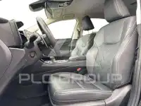 2024 Lexus NX250