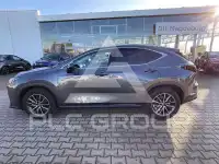 2024 Lexus NX250