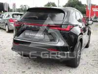 2024 Lexus NX250