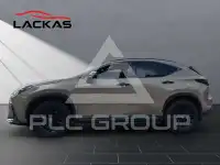 2024 Lexus NX250