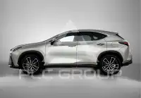 2024 Lexus NX250
