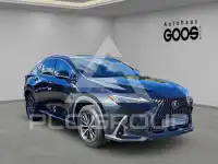 2024 Lexus NX250