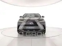 2024 Lexus NX250