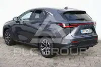 2024 Lexus NX250
