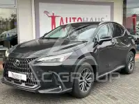 2024 Lexus NX250