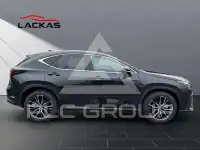 2024 Lexus NX250