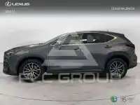 2024 Lexus NX250