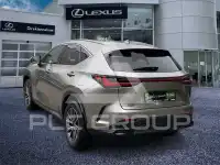 2024 Lexus NX250
