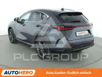 2024 Lexus NX250