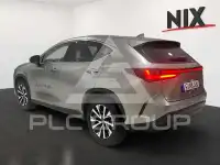 2024 Lexus NX250