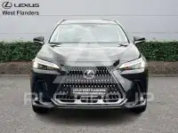 2024 Lexus NX250