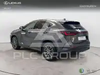 2024 Lexus NX250