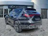 2024 Lexus NX250