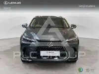 2024 Lexus NX250
