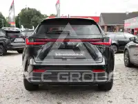 2024 Lexus NX250