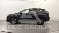 2024 Lexus NX250