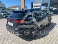 2024 Lexus NX250