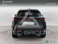 2024 Lexus NX250