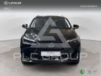 2024 Lexus NX250