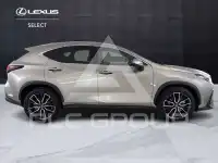 2024 Lexus NX250