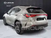 2024 Lexus NX250