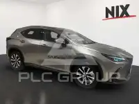 2024 Lexus NX250