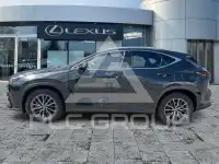 2024 Lexus NX250