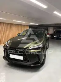 2024 Lexus NX250