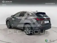 2024 Lexus NX250