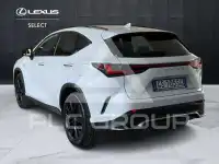 2024 Lexus NX250