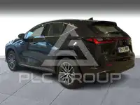 2024 Lexus NX250