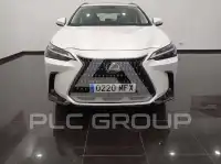 2024 Lexus NX250