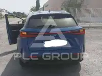 2024 Lexus NX250