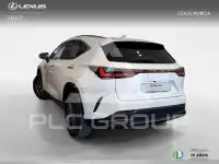2024 Lexus NX250