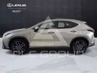 2024 Lexus NX250