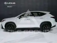2024 Lexus NX250