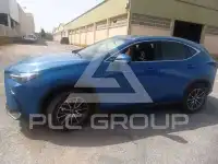 2024 Lexus NX250