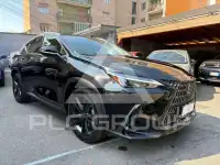 2024 Lexus NX250