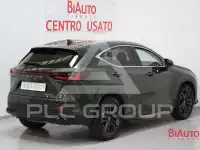 2024 Lexus NX250