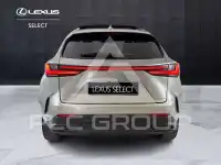 2024 Lexus NX250