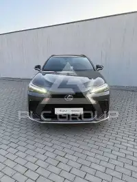 2024 Lexus NX250