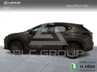2024 Lexus NX250